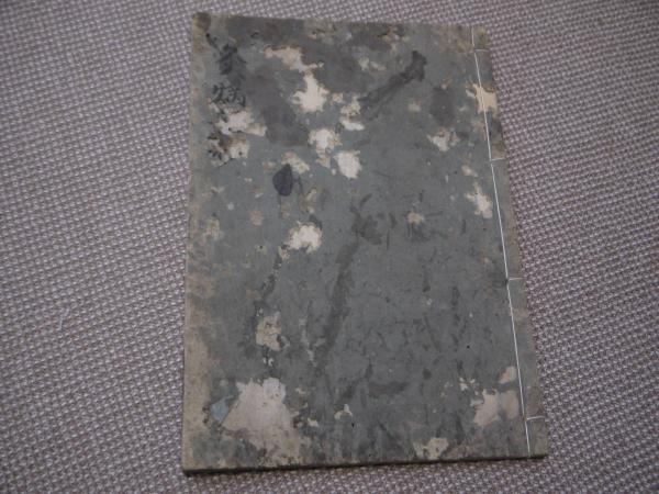 福善斎画譜 丹羽謝庵画 文化11年序 彩色木版刷 5巻5帖 / あんず