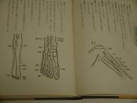 図解十四経発揮 (本間祥白) / 古本、中古本、古書籍の通販は「日本の