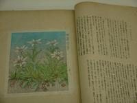 高山花譜　手刷木版画　３３葉入り