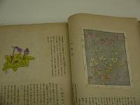 高山花譜　手刷木版画　３３葉入り
