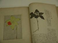 高山花譜　手刷木版画　３３葉入り
