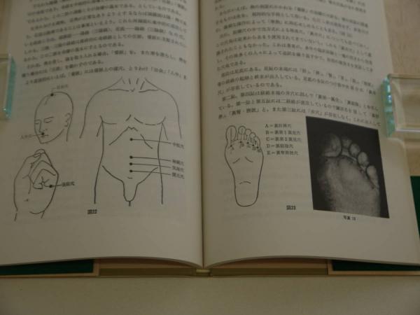 胃の気の脈診: 図解鍼灸脈診法 | 藤本 蓮風 |本 | 通販 | Amazon