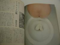 血と薔薇２　２２４P