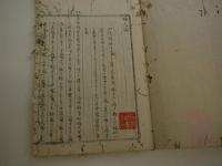 婦人論　２８丁　写本　１冊　