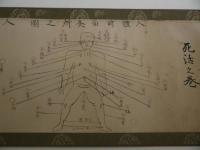 死活之巻(秘法)　四十八箇所灸(急)所之図　本紙１６．５×１５５cm　紙本墨書　１巻　