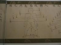 死活之巻(秘法)　四十八箇所灸(急)所之図　本紙１６．５×１５５cm　紙本墨書　１巻　