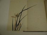 花鳥画の描き方　木版１０図入り　１冊