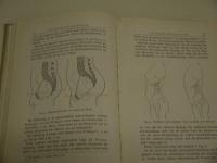 女体の美　C．H．STRATZ　C．H．シュトラッツ　DIE　SCHONHEIT　DES　WEIBLICHEN　KORPERS　独文　１冊