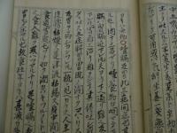 艮山病因考　写本　１冊　