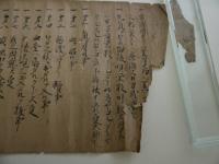 外療秘伝書(仮)　１９．５×２３０cm　紙本墨書　１巻