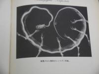 秘密の動物誌　２２９P
