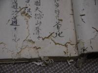 名家略伝　寛政9年　当世名家評判記　天保6年序　書画類選　嘉永5年　狩野家中興系図　歌舞伎　安政5年　先哲叢談　文化13年　