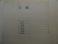 南京旧影　古いナンキンの姿　中日英文　１冊