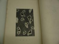 着尺案作品集　木版４図入り　１冊　