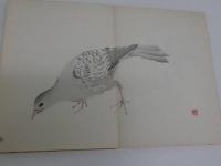霞城習画帖　彩色木版刷り　４８図　改装　合本　１帖