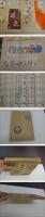 菊百趣　34×44㎝　見開き12図　彩色木版刷　上巻のみ　１帖