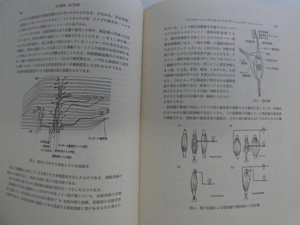 平安城の古地図 木版墨刷 本紙94×52.5㎝ 全体177×64.5㎝ 1軸