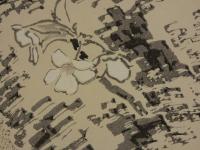 淡彩百花　春夏・秋冬　彩色木版刷り　１００図　全２帖