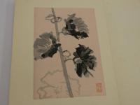 淡彩百花　春夏・秋冬　彩色木版刷り　１００図　全２帖