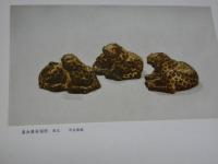 文化大革命期間　出土文物　第一輯　解説付き　中文　１冊　