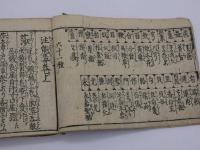 注能毒　校録　刊本　上中下巻　１冊
