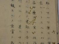 黴毒一掃論　写本　帙入り　１冊