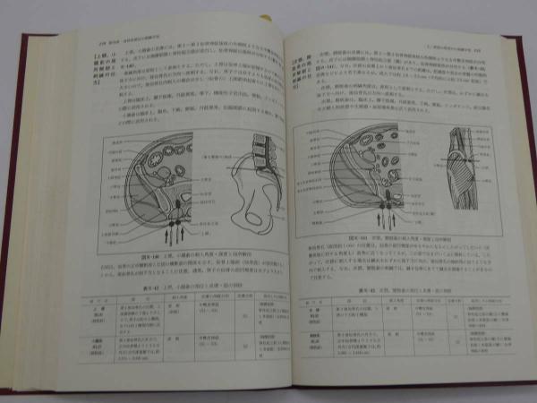 図解 鍼灸臨床手技の実際 358P (尾崎昭弘) / 古本、中古本、古書籍 ...