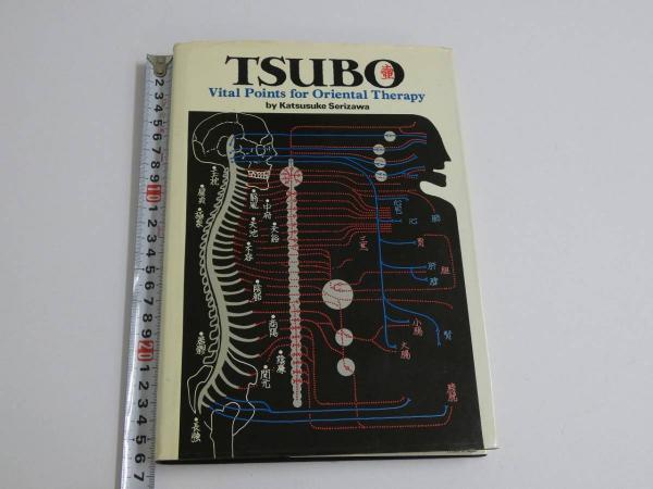 ホリスティック家庭の医学療法 (GAIA BOOKS) | Dr.ヴィクター