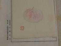 菓子文庫　１～４号　和装本　帙入り　４冊
