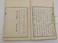 黴療新法　彩色木版刷り　１７丁　乾坤　全２冊