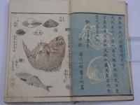 画本　早満奈飛　三篇