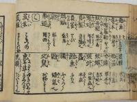 合類薬種名寄帳後集刊本　１冊