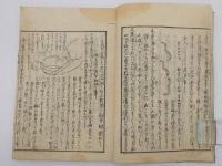 大人小児　秘伝衛生論　刊本　２冊