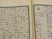 瘍科瑣言　写本　１冊