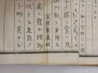 瘍科瑣言　写本　１冊