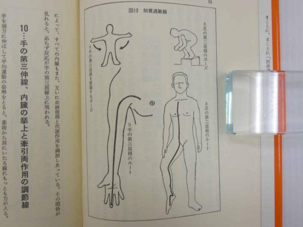 裁断済】平田式 十二反応帯 熱針刺激療法 間中喜雄 鍼灸 - メルカリ