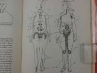 Health　and　Vitality　at　Your　Fingertips　SHIATU　英文　