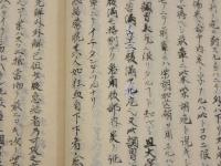 傷寒論正文解　写本　２冊