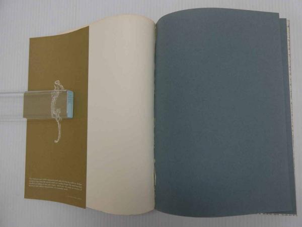 DECORA Ornamental Motifs of the World(高見堅志郎) / あんず古 DECORA Ornamental Motifs of the World(高見堅志郎) / あんず古