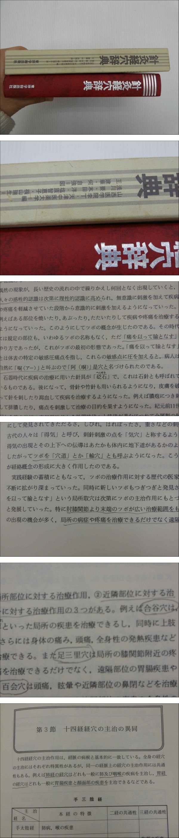 針灸経穴辞典 (李丁 天津中医薬大学) / 古本、中古本、古書籍の通販は