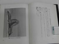 インド・ヨガ教典　瞑想と健康の技法　２９４P