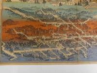 高野山真景大全図　３９×５４．５cm　１枚　