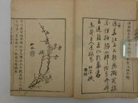 浪華芳譜　彩色木版刷　巻の上　１冊