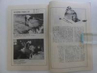 本美濃紙見本帳②　１９P
