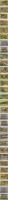 京名所　明治・大正期　彩色木版刷　1図10.5×15cm　9図　1枚37×58cm　計36図　4枚