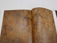 フィールド・ワークの記録2　美の源流　先史時代の岩面画