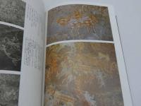 フィールド・ワークの記録2　美の源流　先史時代の岩面画