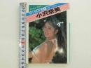 マドンナメイト写真集　小沢奈美写真集 4版