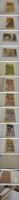 TURKEY　ANCIENT　MINIATURES　トルコ古代の細密画　英文　１冊