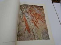 AUSTRAIA　ABORIGINAL　PAINTINGS－ARNHEMLAND　アーネムランドにおけるアボリジニの絵画　英文　１冊